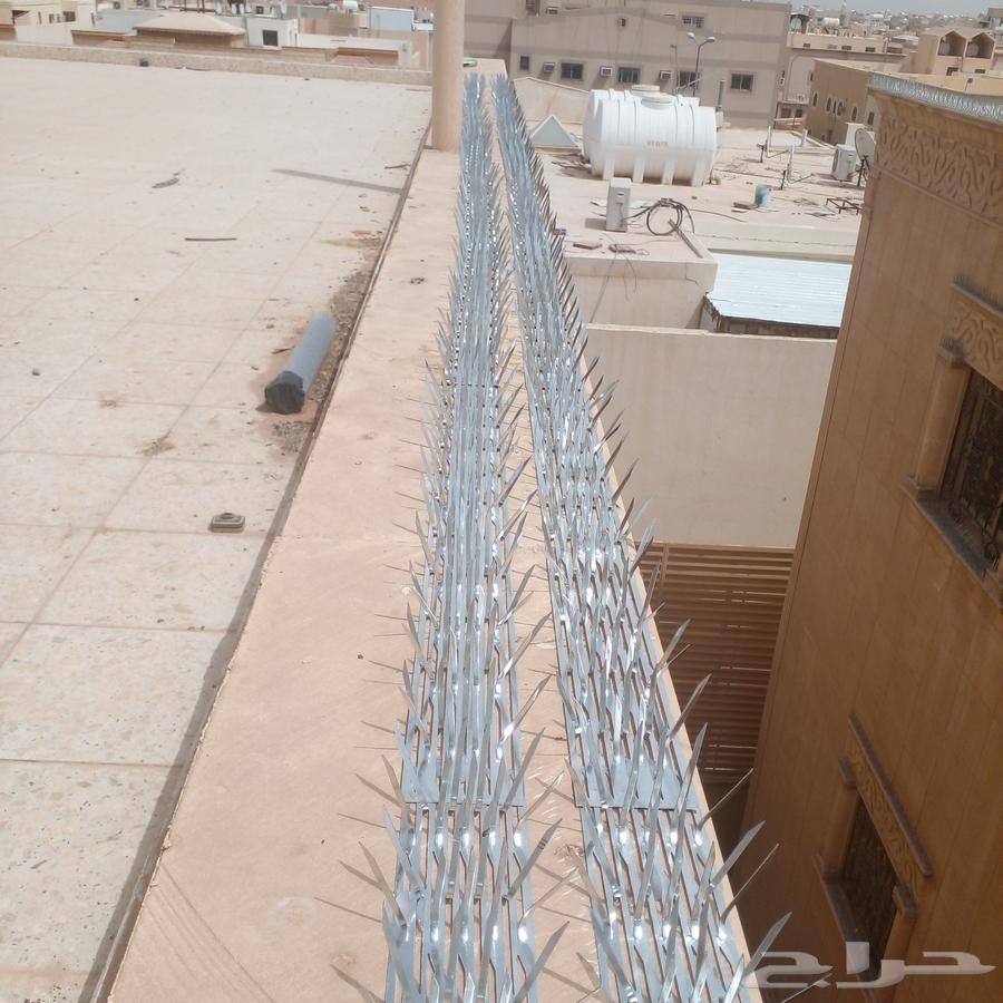 طاردالحمام تركيب شبك وأشواك مانع الطيور64240148682499112