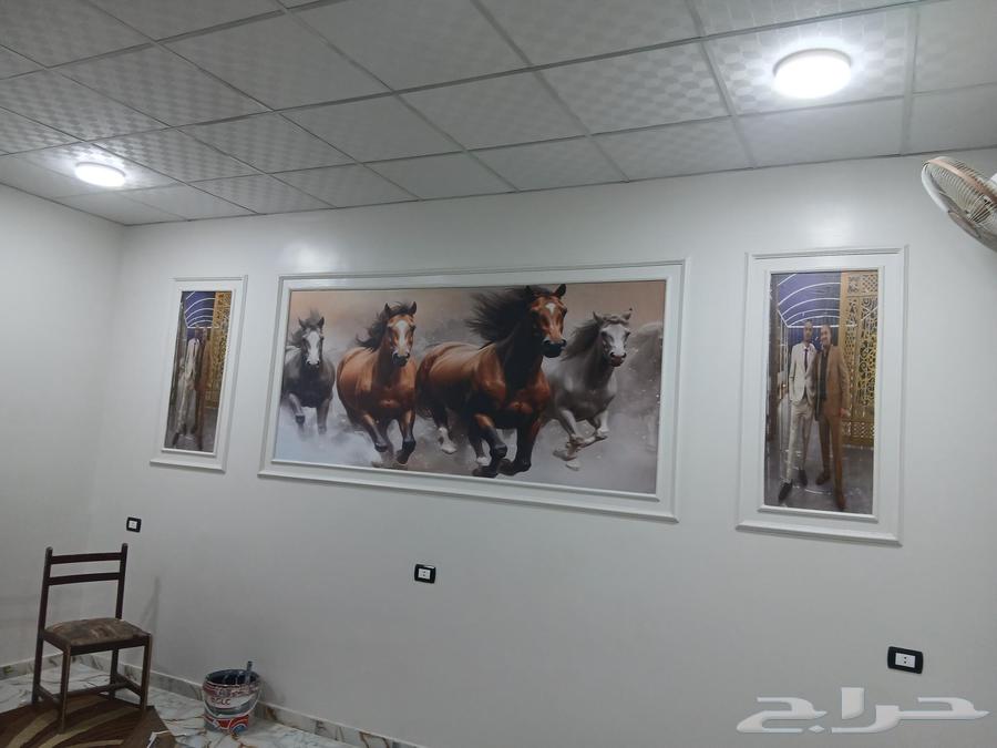 جميع انواع الدهانات والديكور الحديث ابو عمر64240951239555110