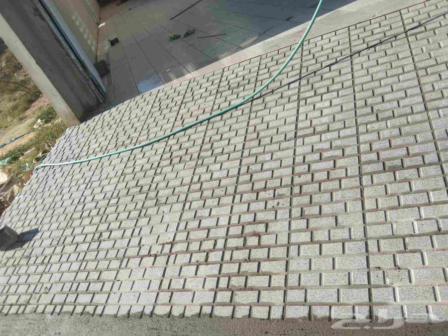 Pakistani tile layer64240627176579114