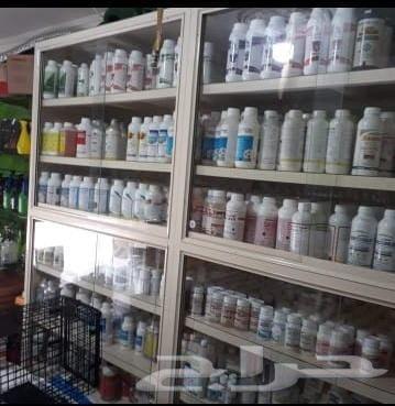 Pest Control Company in Mecca | Pest Spraying Services in Mecca64241653840770113