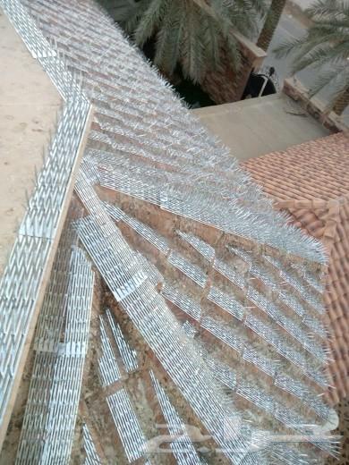 طاردالحمام تركيب شبك وأشواك مانع الطيور64240148682499110