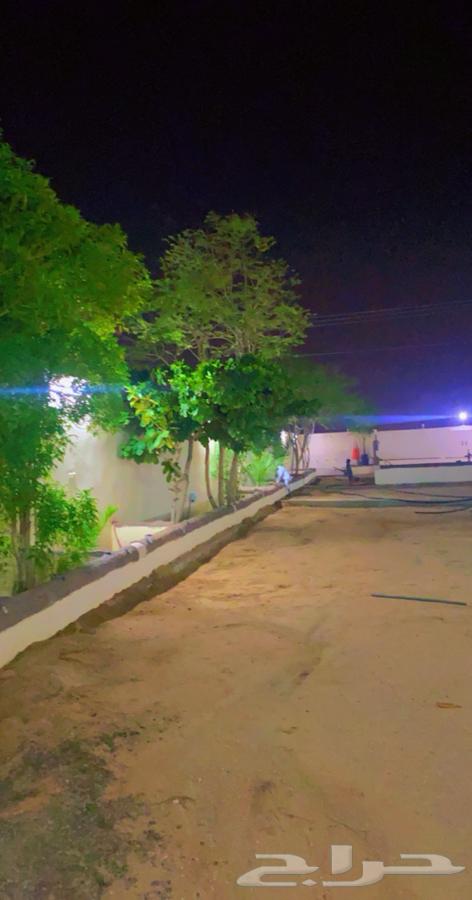 Monthly rental rest area in Taif, Al-Mathmela64240616829313110