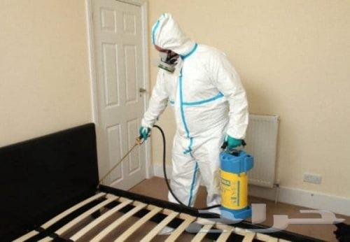 Pest Control Company in Mecca | Pest Spraying Services in Mecca64241653840770111