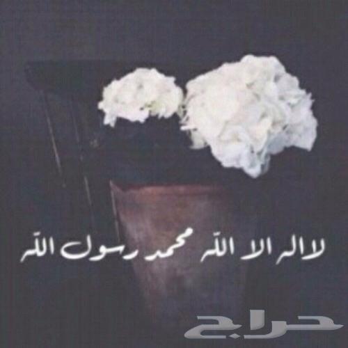 احتاج شقة غرفتين النوارية للايجار بشكل مستعجل64240138534019110