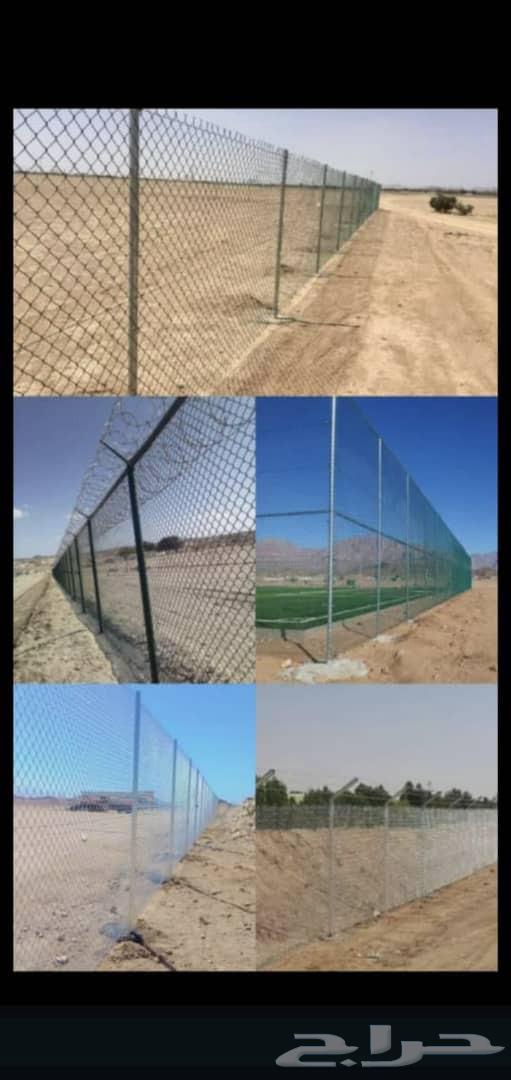 يوجد لدينا نخل عربي واشنطني وكذلك شبوك مزارع وجريد64244670096643110