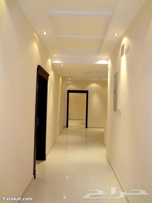 صباغ الخبر الدمام العزيزيه الدوح الفاخريه الراكه64241847005698113