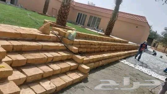 يوجد لدينا نخل عربي واشنطني وكذلك شبوك مزارع وجريد64244670096643112