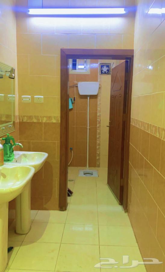 Monthly rental rest area in Taif, Al-Mathmela64240616829313113