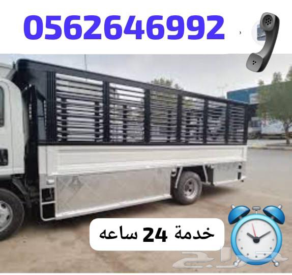 دينه نقل عفش داخل وخارج جده64240626398339110