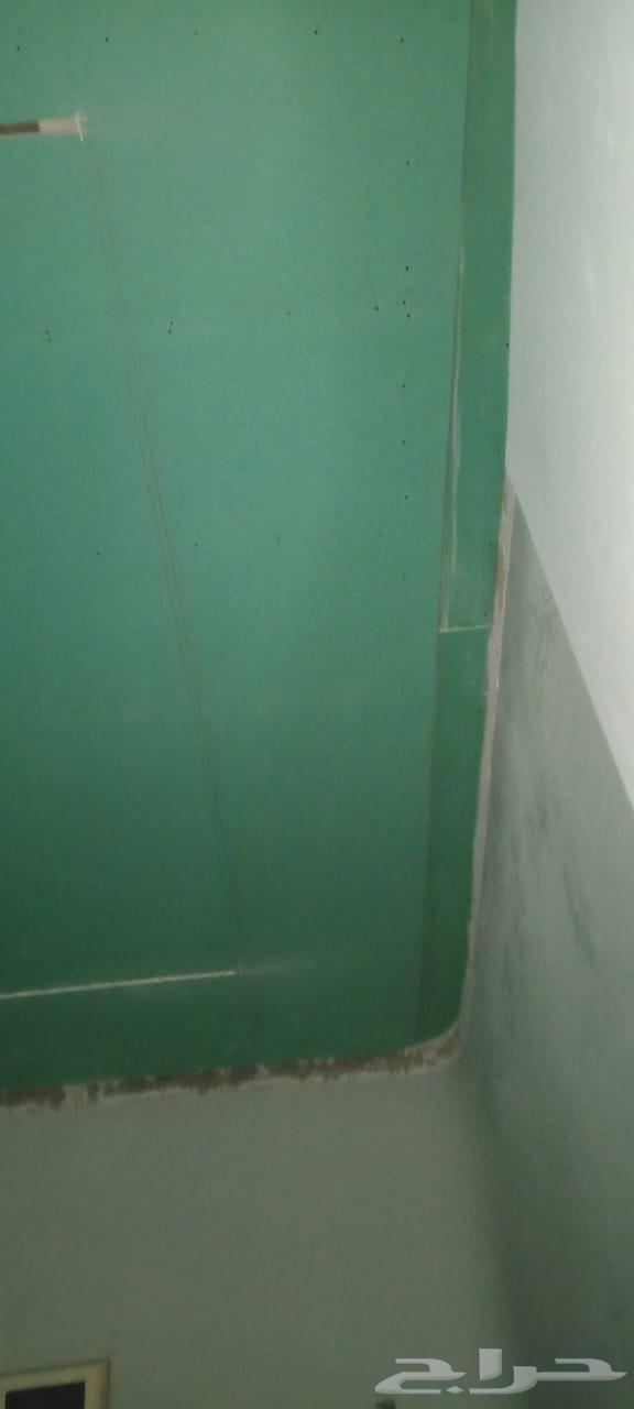 معلم ديكور باكستاني64244831866113112