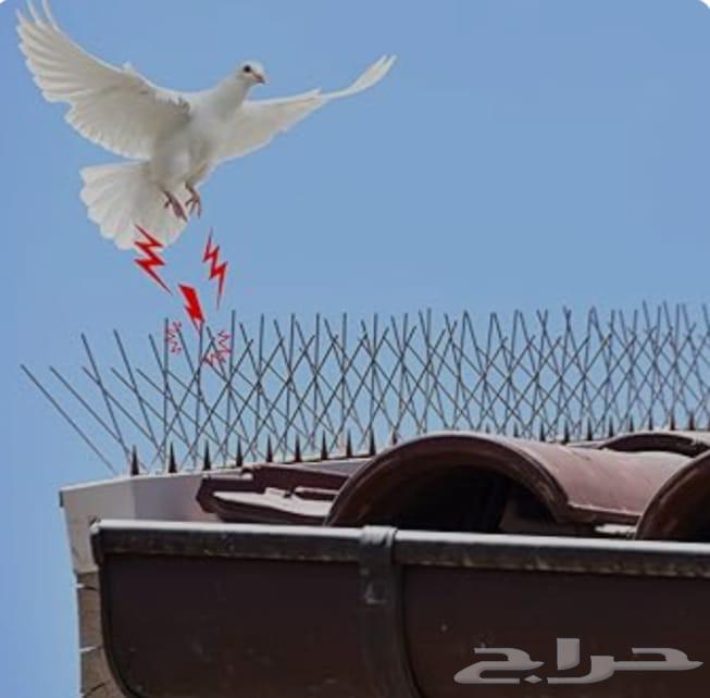 طارد الطيور شبك حمام شبك شفات شبك بغلاؤء64244833671043114