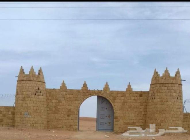 We work in the field of palm trees, fencing, and stone construction64241845180675112