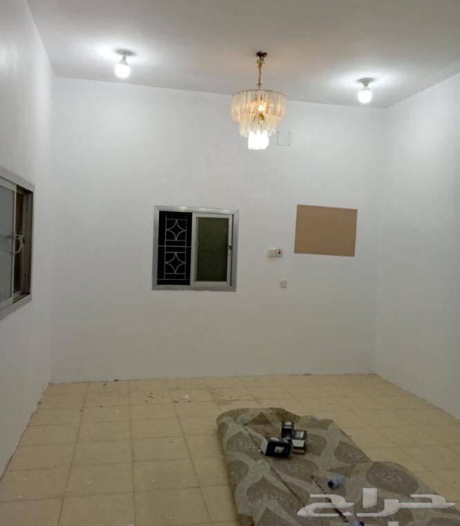 شغل دهان ديكورات معلم باكستاني شغل كهربائي64241844061313113