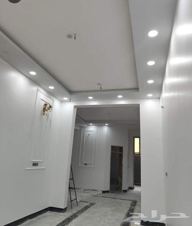 شغل دهان ديكورات معلم باكستاني شغل كهربائي64241844061313111