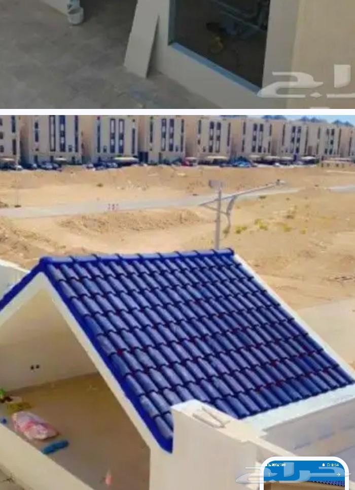 Haddad64244832400897110