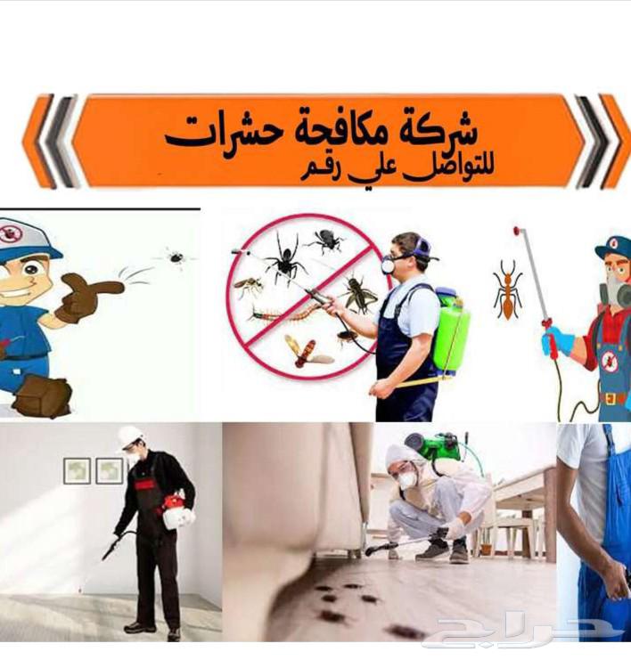 تنظيف مجالس بالرياض كنب سجاد64240300409090112