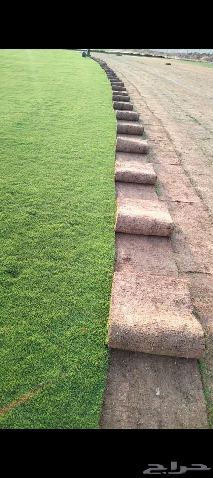 قص الثيل الطبيعي64240624440706112