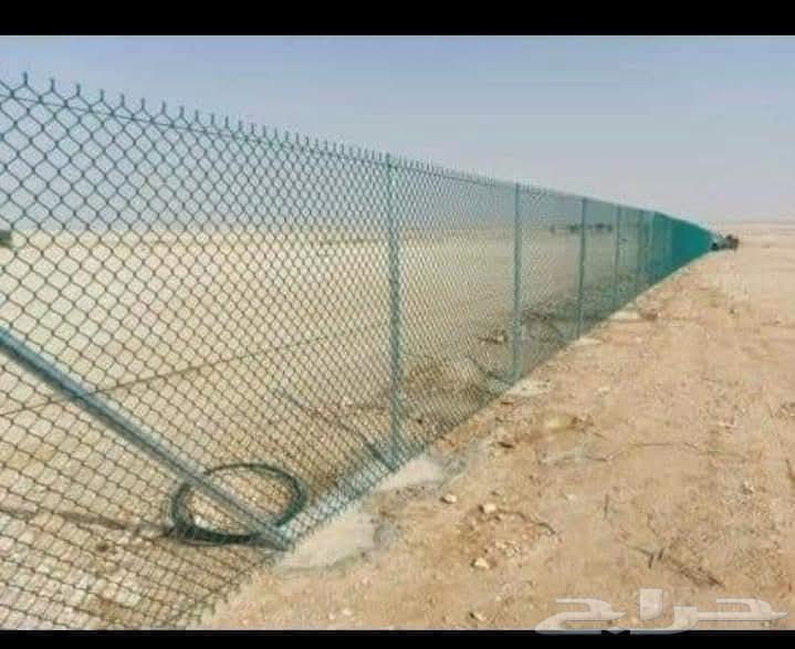 يوجد لدينا نخل عربي واشنطن وكذالك شبوك مزارع وملاعب ومضلات و64241652345090114