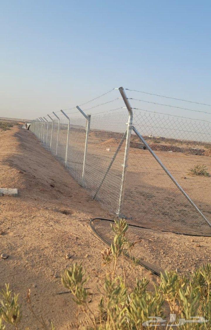 تركيب شبوك مزارع64241488573187110