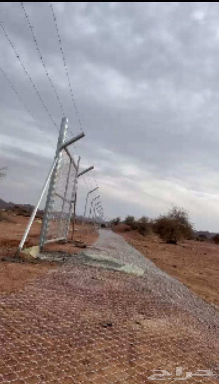 لتوريد وتركيب الشبوك والساج الامني64241488287747112