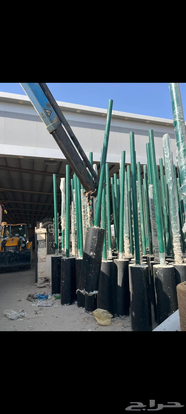 All types of date palm services, cleaning and pruning of palms64240954160897112