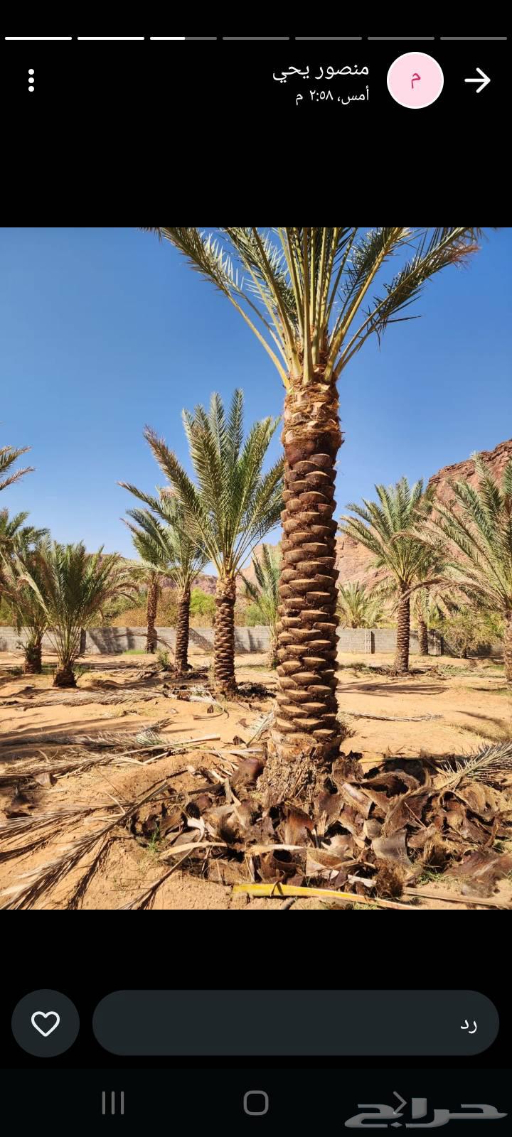 جميع أشغال أنخل تحويض تكريب واشنطن تركيب شبوك64240953969027111