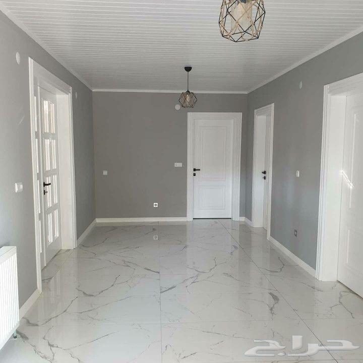 اصباغ وديكورات64240624179330111