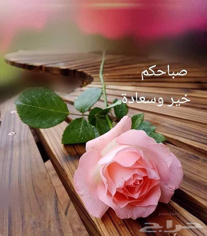 تسليك مجاري الرياض تسليك المجاري المسدوده لصرف الصحي64240147844354110