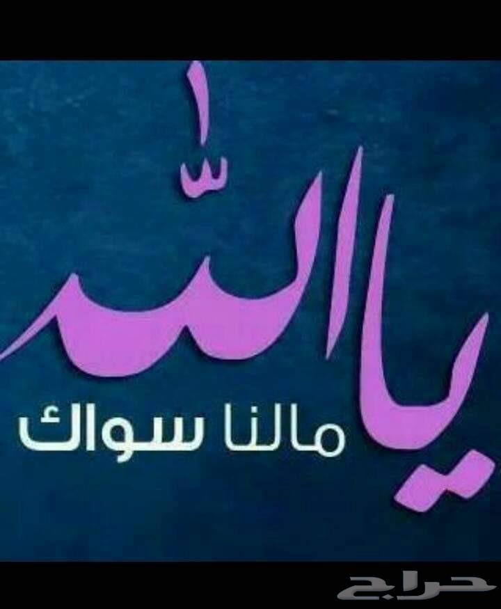 نقل وتوصيل مدارس معلمات طالبات طلاب اطفال ابتدائي روضه متوسط64241844659585111