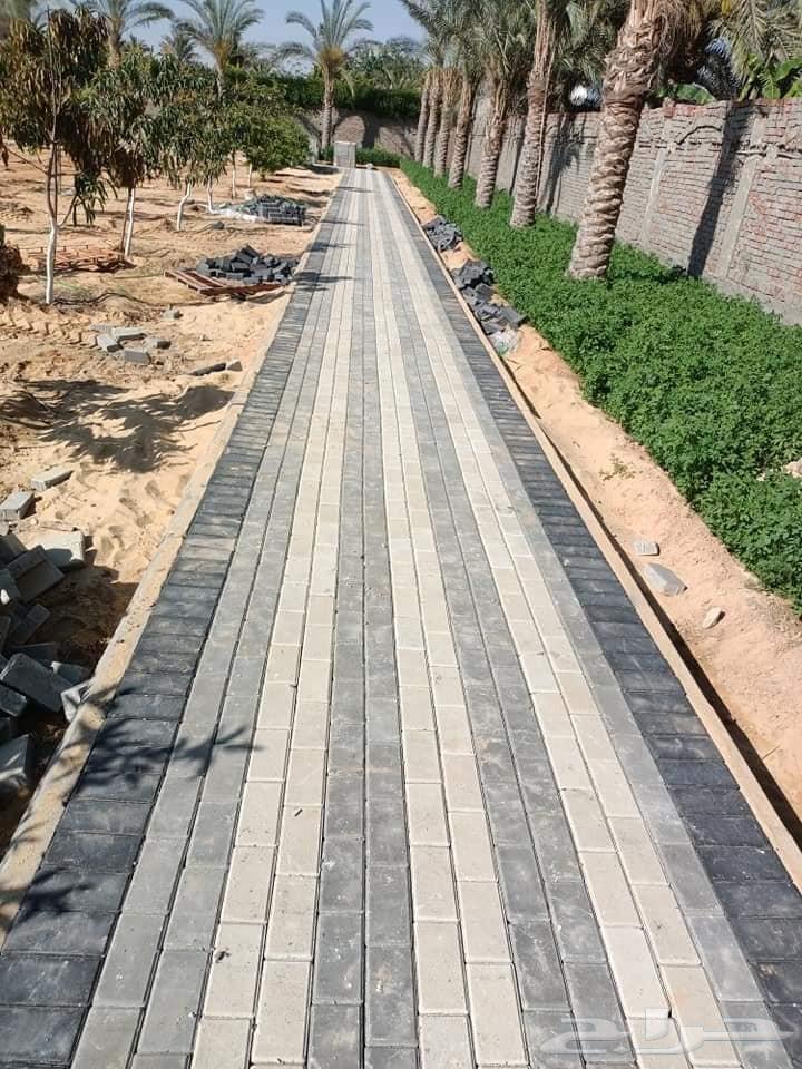 معلم بندوره انترلوك64241488400002112