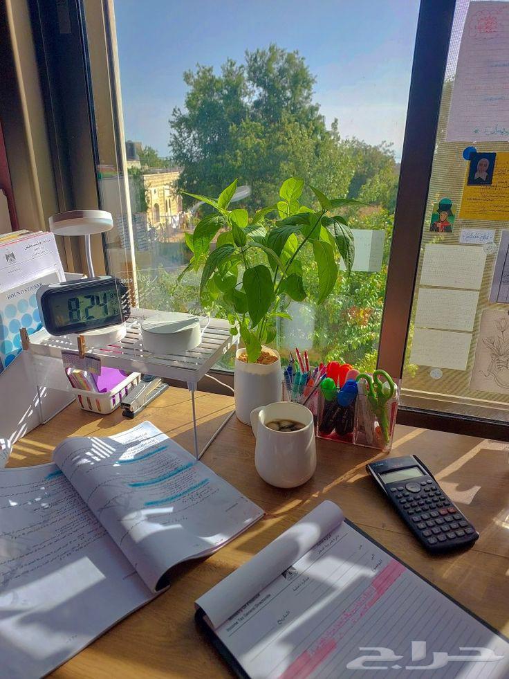 حل واجبات اللغة العربية لجميع المراحل64244832493057110