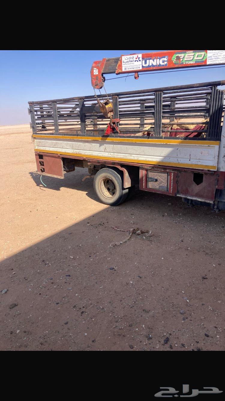 ديناء لليجار تحميل ابل64241653436418110