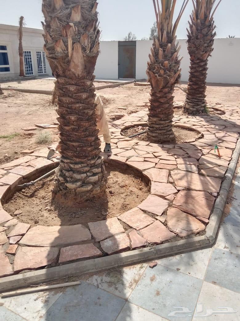 مقوال حجر طبيعي توريد وتركيب العلا حايل القصيم تبوك المد64241845928963110