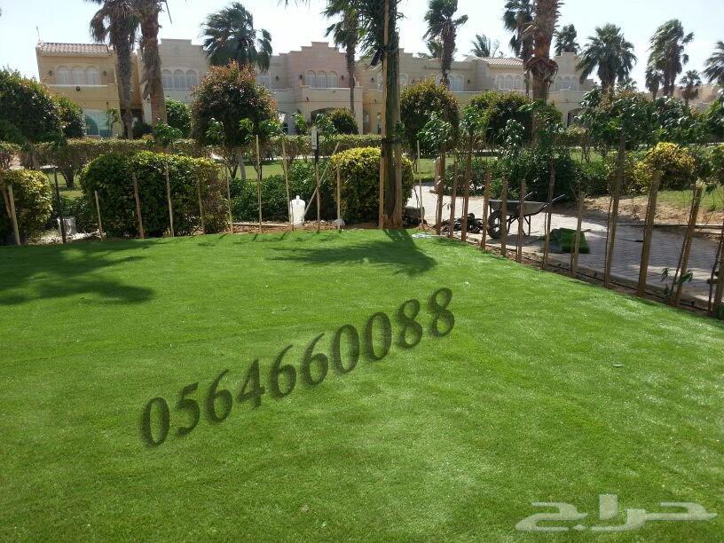 تركيب عشب صناعي بمكة وتوريد وتركيب العشب الجداري64240626880258112