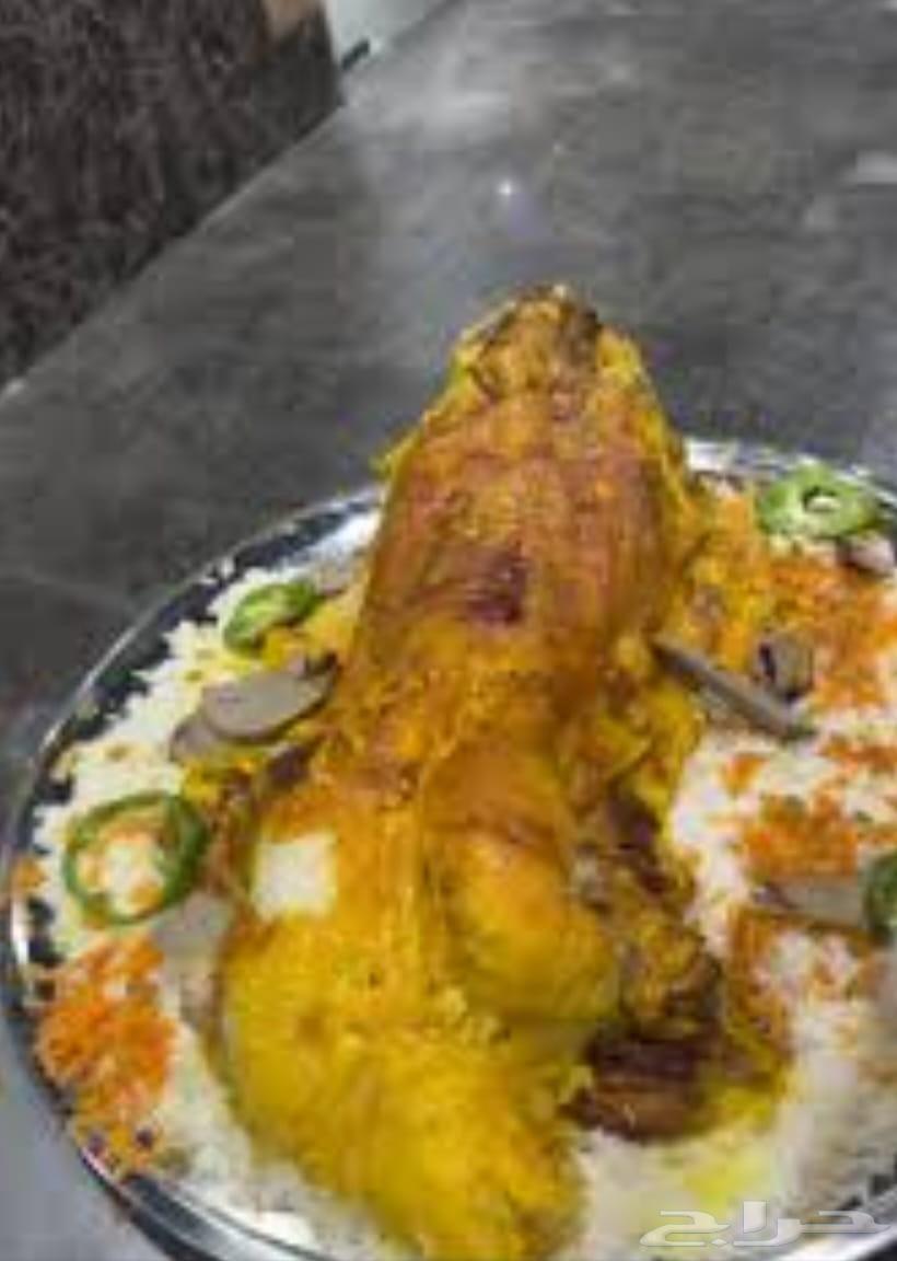 طباخ وطاهي عام سليق عربي مديني شعبي كابلي جميع أنواع الطبا64241846908802112