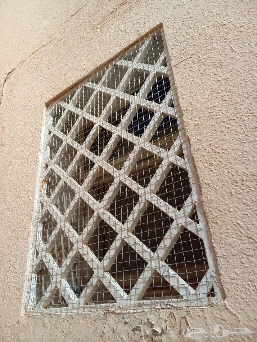 Installing spikes and pigeon repellents64244833042434111