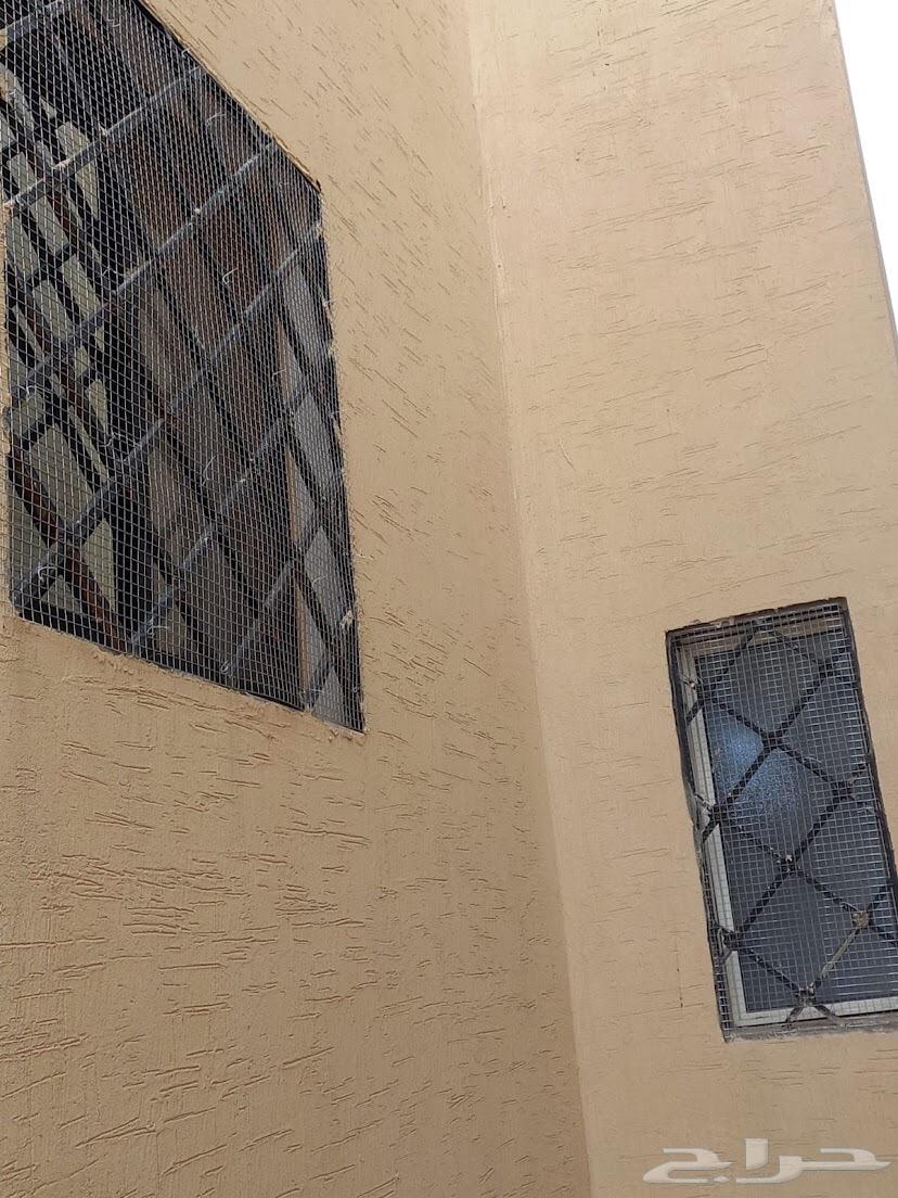 Installing spikes and pigeon repellents64244833042434112