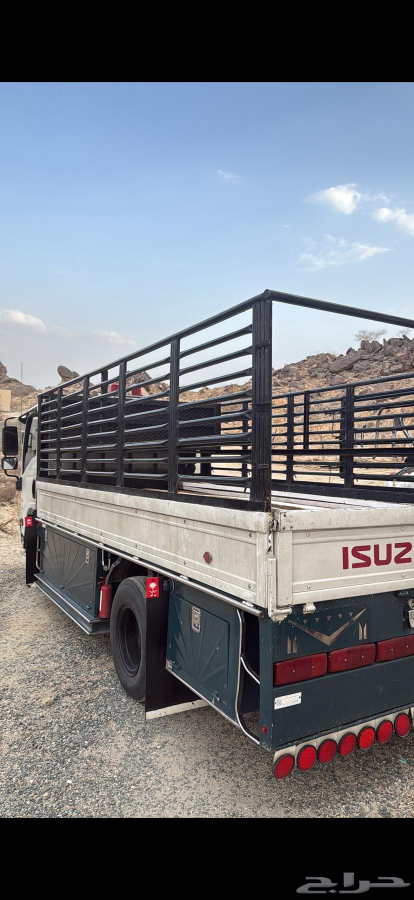 Dena in Bashah for Sheep64241149287809110