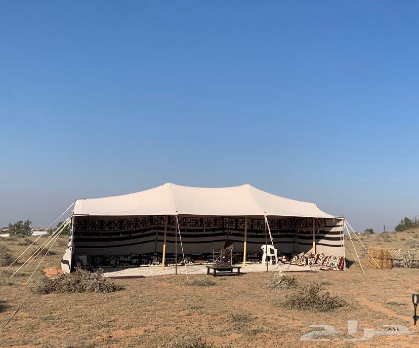 طق خيام وتركيب إشرعة ضد المطر64244832866307111
