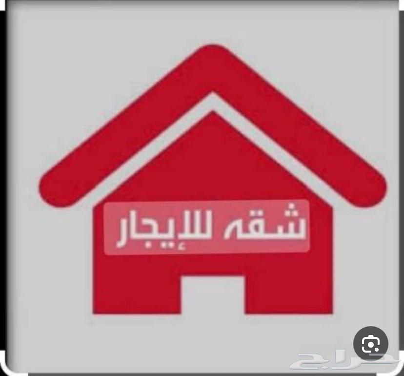 اريد شقه عزاب غرفه صاله وحمام64239958426115110