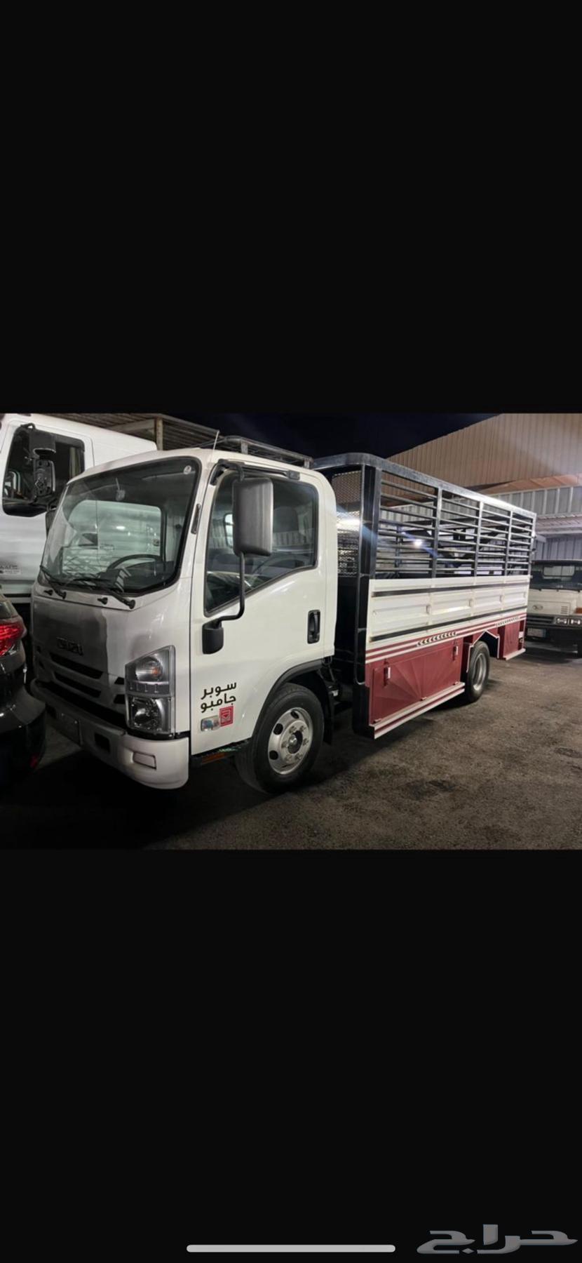 دينه نقل64241145536897110