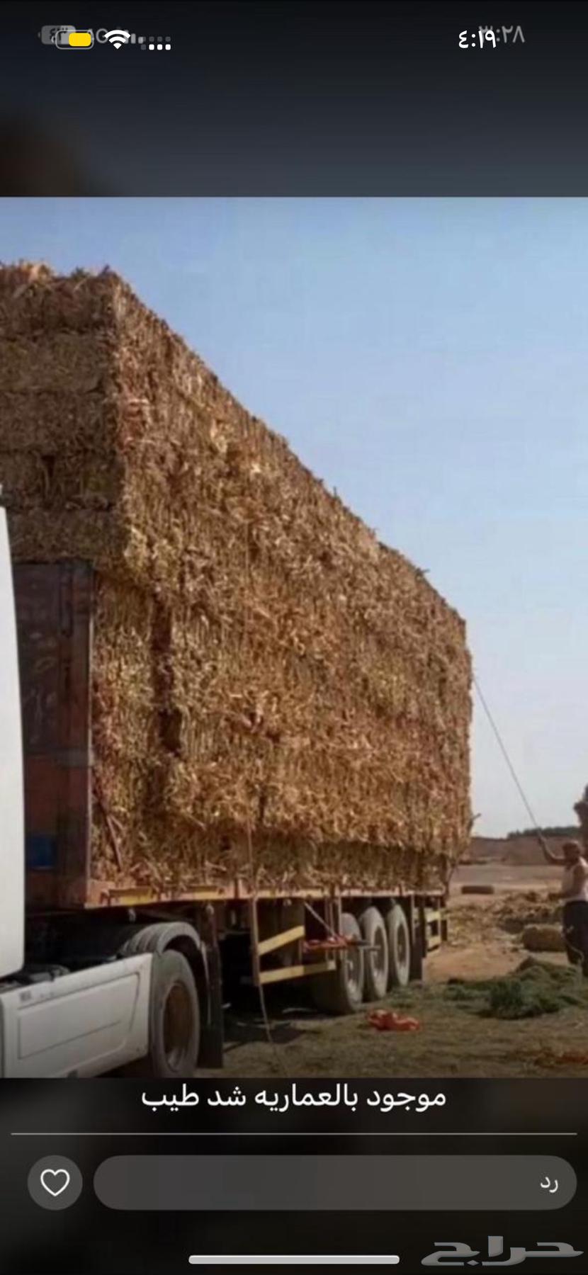 Trailer for transporting livestock, feed, and goods across the entire kingdom64240625317505113