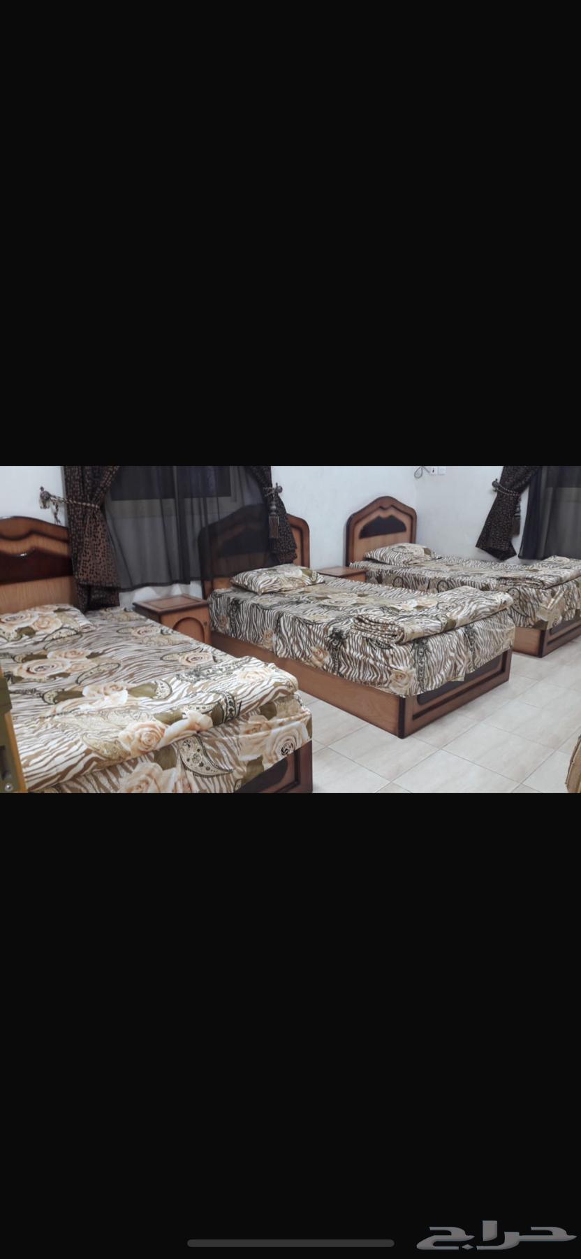 شقق عزاب نظيفه جدا للإيجار نجران حي الفهد64244823635075110