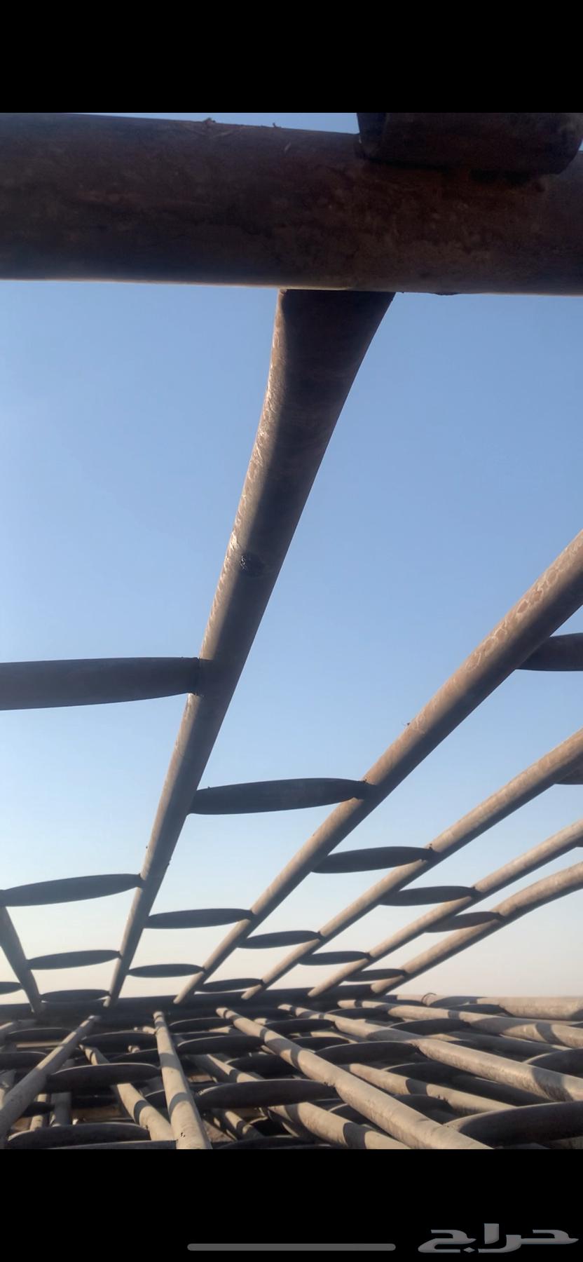 شبوك ابل64240626526594110