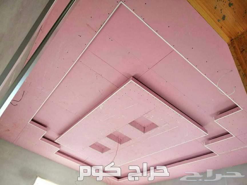 معلم. باكيستاني. جيبسم. برد.64241846807553110