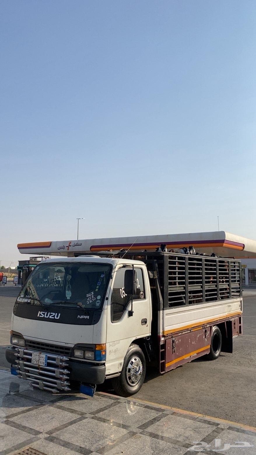 دينا طابق الحناكيه64241319506562110