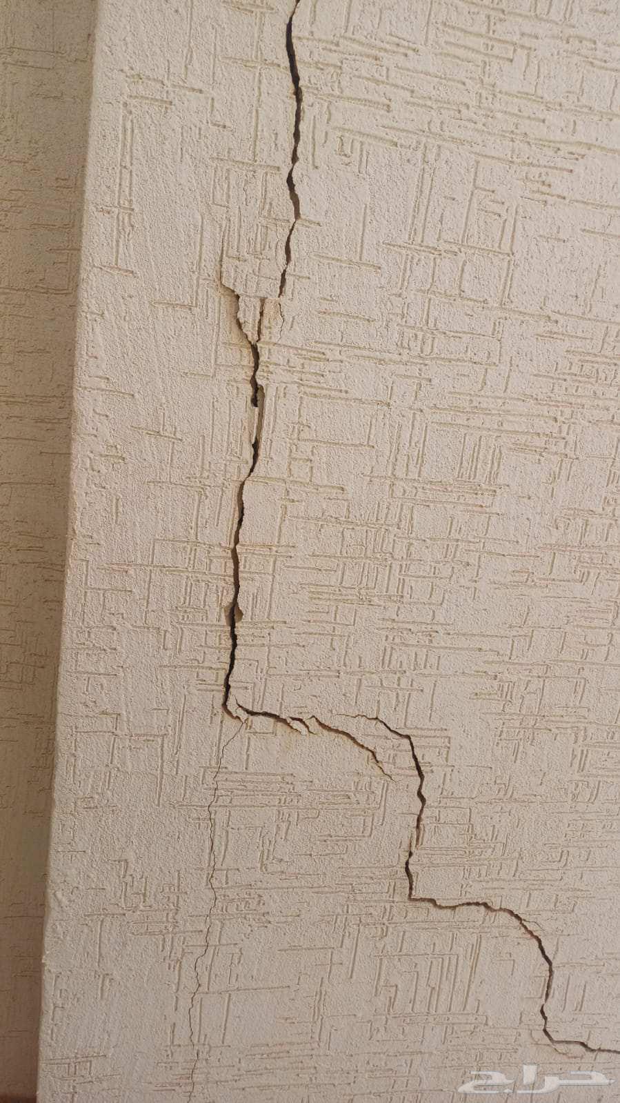 Tiling, Repairing, and Arranging Tiles64240951381122114