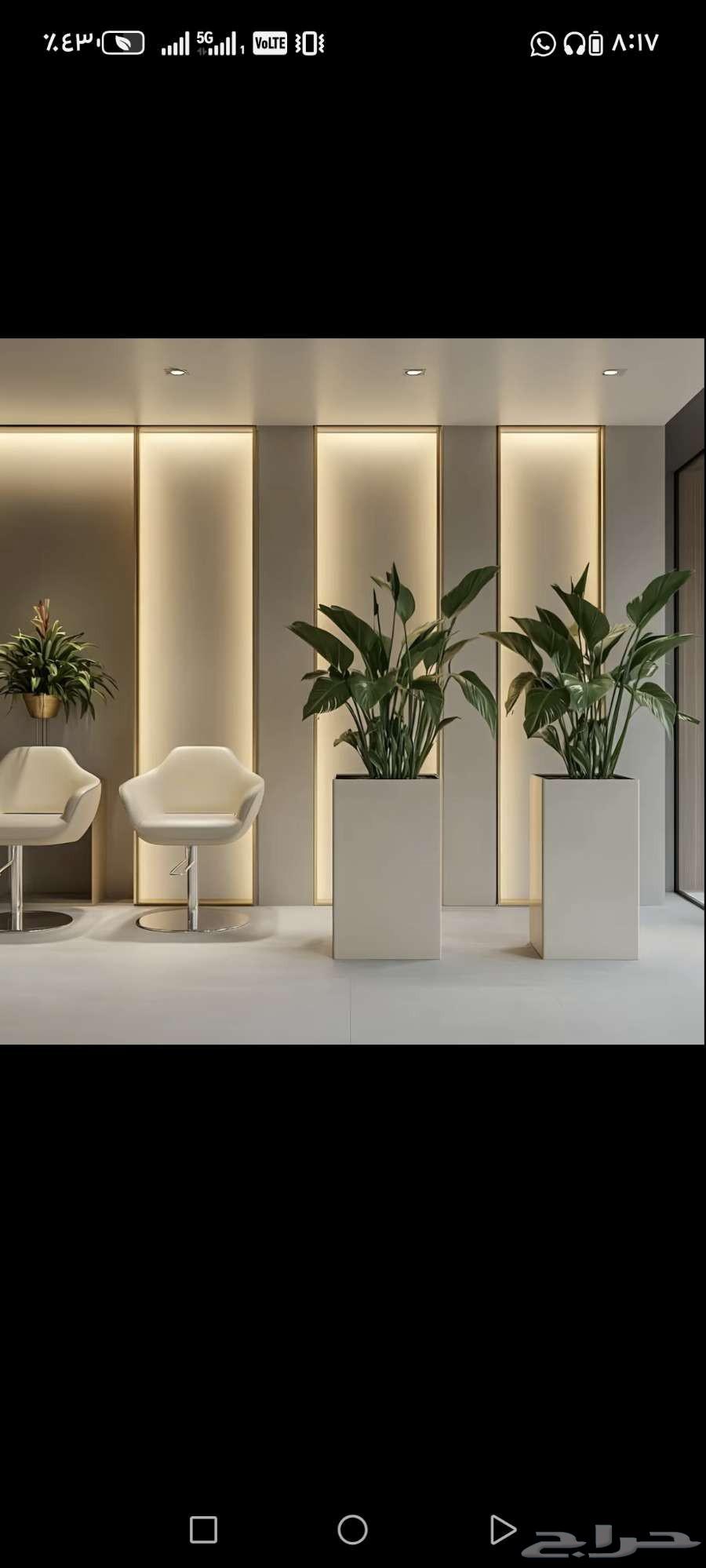 جبس بورد دهانات ديكورات ورق جدران باركيه شيبرد64241486489346113