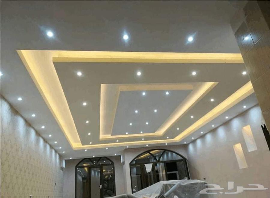 معلم. باكيستاني. جيبسم. برد.64241846807553111