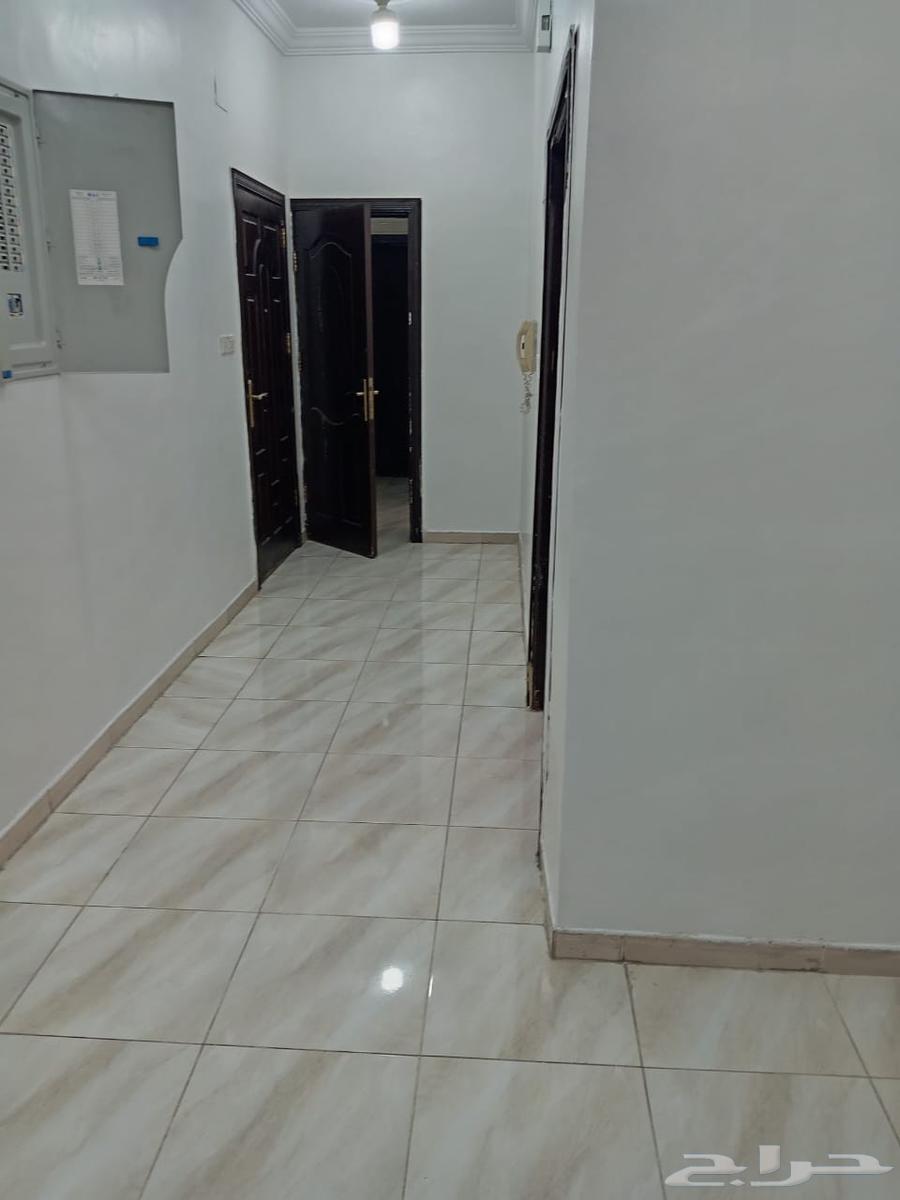 شقة 4غرف للاجار حي الفضيلة64244661146114112